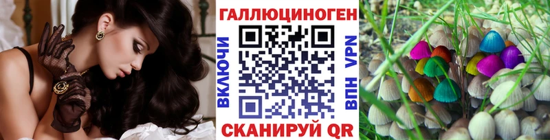 Галлюциногенные грибы GOLDEN TEACHER  Шатура 
